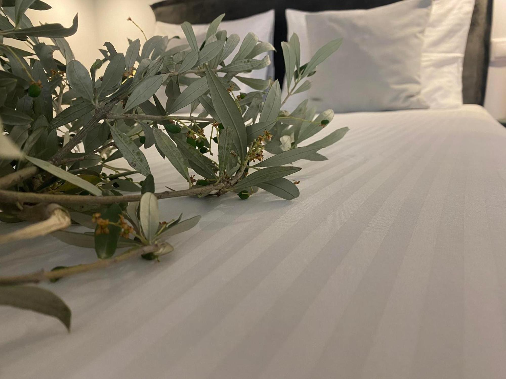 Oniropetra Luxury Suites Armakha Ngoại thất bức ảnh